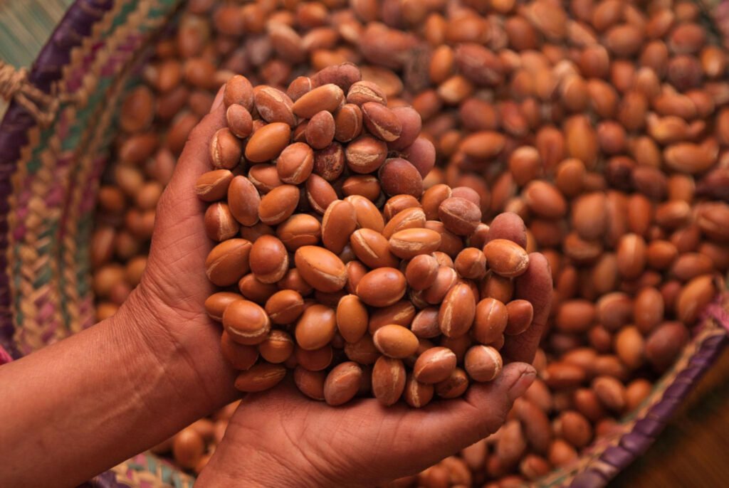 benifits argan oil
